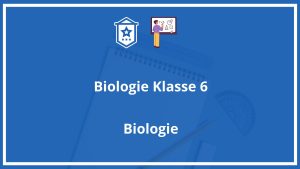 Arbeitsblätter Biologie Klasse 6 PDF