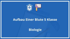 Aufbau Einer Blüte 5. Klasse PDF
