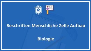 Beschriften Menschliche Zelle Aufbau Arbeitsblatt PDF