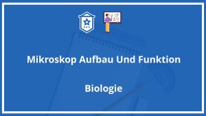 Mikroskop Aufbau Und Funktion Arbeitsblatt PDF